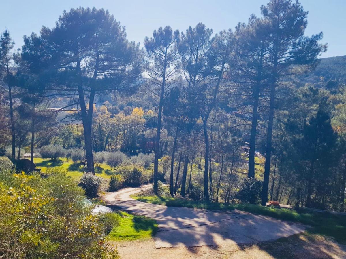 Casa Paco De Gredos Villa อาเรนัส เด ซานเปโดร ภายนอก รูปภาพ